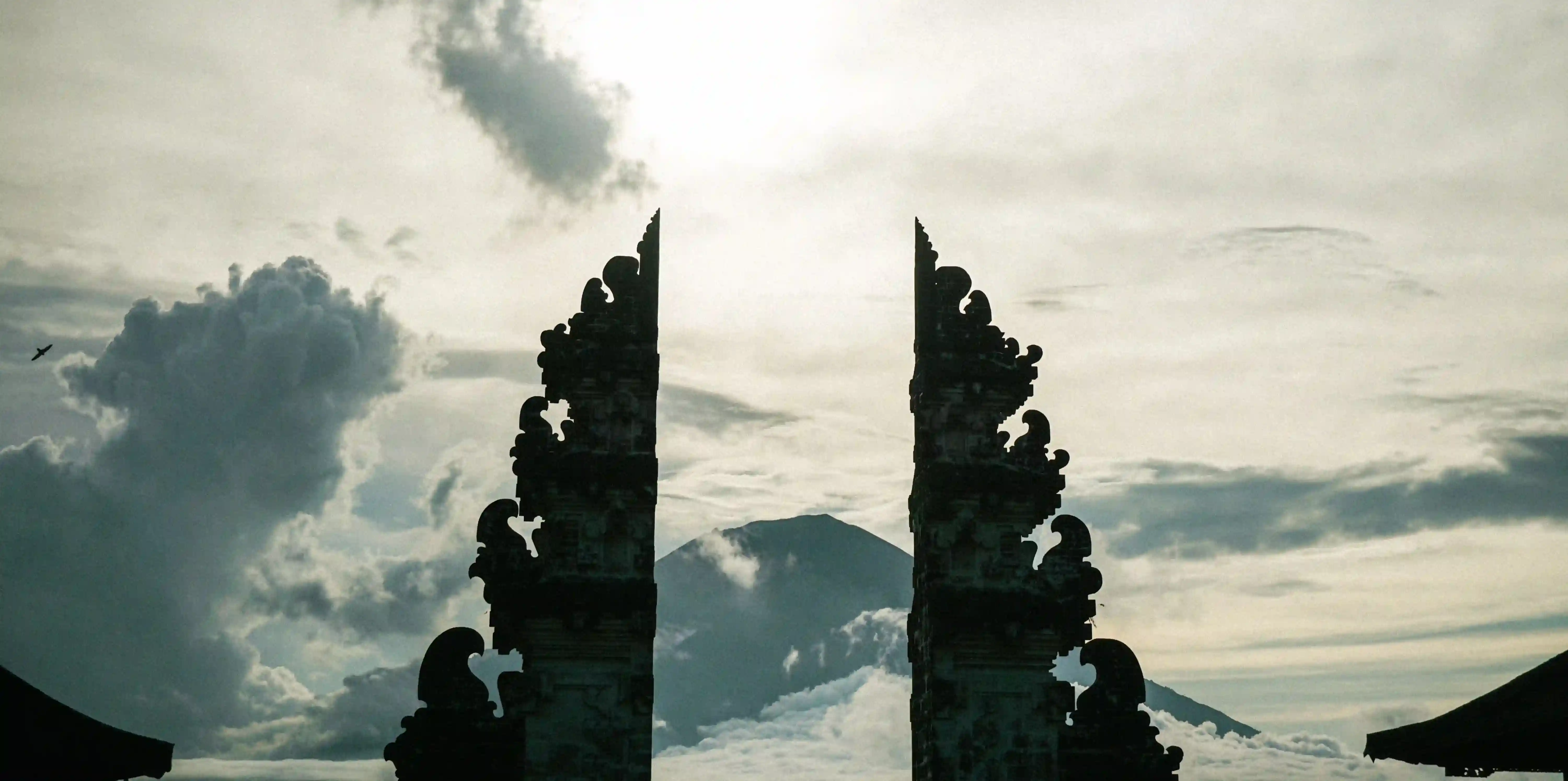 Newman with guests during a Bali trip overlooking a mountain landscape