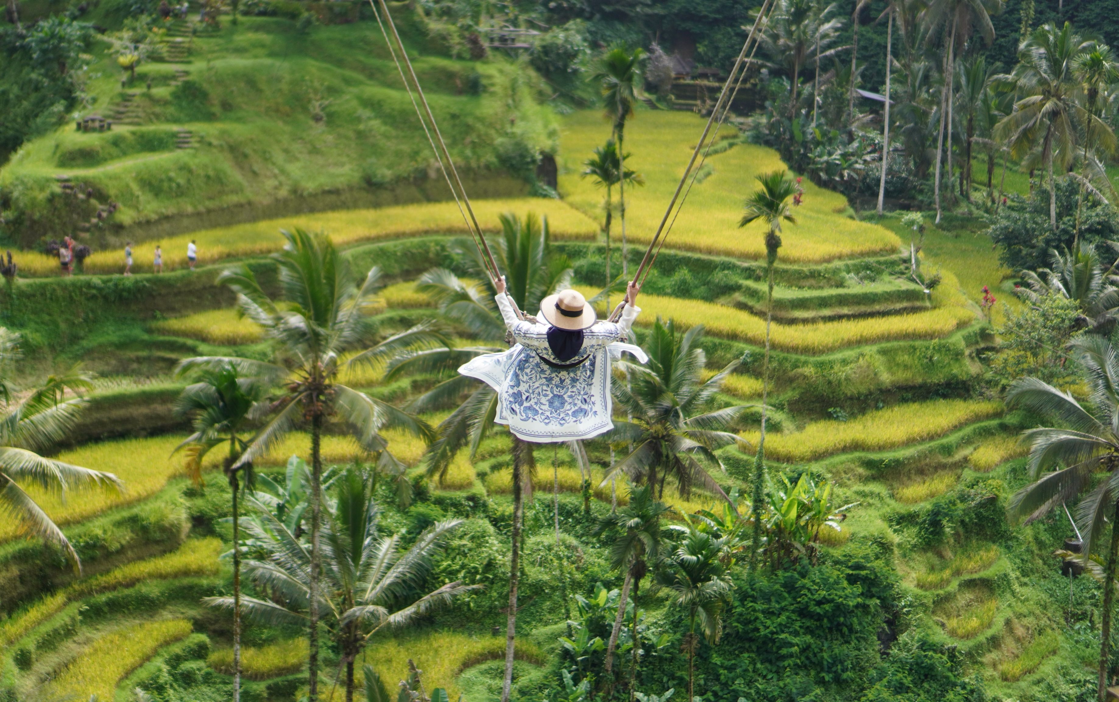 Ubud Culture & Rice Terraces — Photo 3