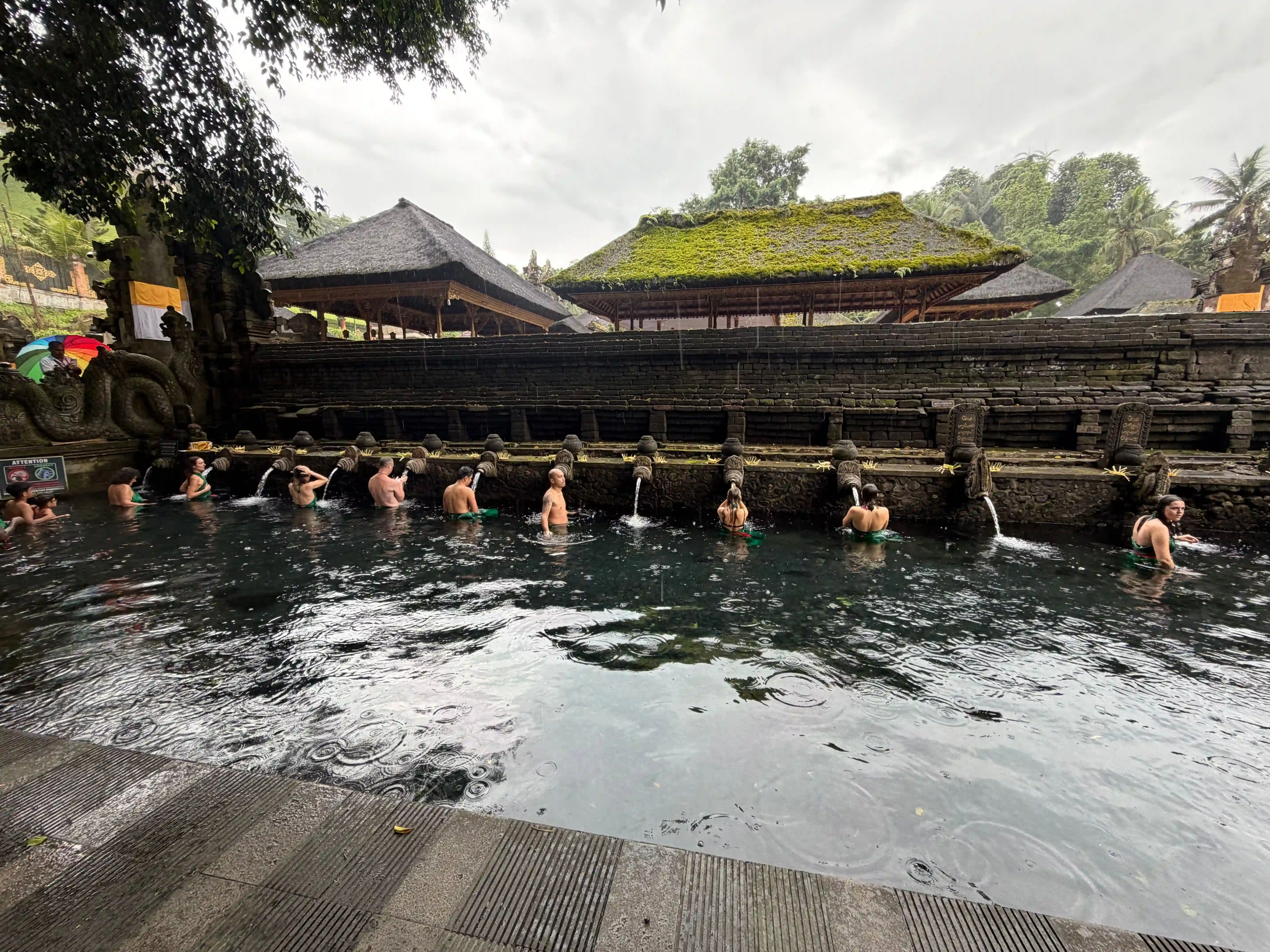 Ubud Culture & Rice Terraces — Photo 5